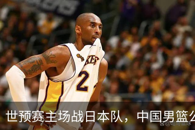 世预赛主场战日本队，中国男篮公布12人名单，杨瀚森、徐昕等在列