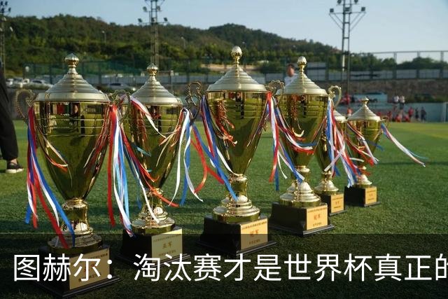 图赫尔：淘汰赛才是世界杯真正的开始，比赛越重要我们表现会越好
